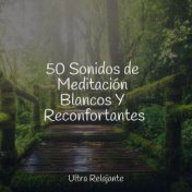 50 Sonidos de Meditación Blancos Y Reconfortantes