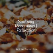 Soothing Recordings | Relaxation