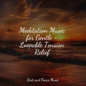 Meditation Music for Gentle - Loopable Tension Relief