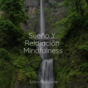 Sueño Y Relajación Mindfulness