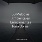 50 Melodías Ambientales Emocionantes Para Dormir