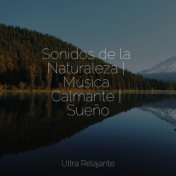 Sonidos de la Naturaleza | Música Calmante | Sueño