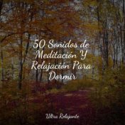 50 Sonidos de Meditación Y Relajación Para Dormir