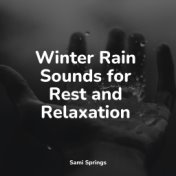 Winter Rain Sounds for Rest and Relaxation