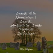 Sonidos de la Naturaleza | Sonidos Ambientales | Sueño Profundo Instantáneo