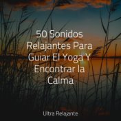 50 Sonidos Relajantes Para Guiar El Yoga Y Encontrar la Calma