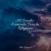 50 Sonidos Esenciales Para la Relajación