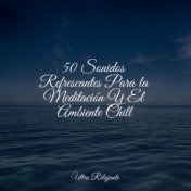 50 Sonidos Refrescantes Para la Meditación Y El Ambiente Chill