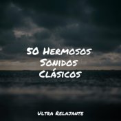 50 Hermosos Sonidos Clásicos