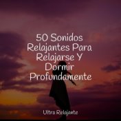 50 Sonidos Relajantes Para Relajarse Y Dormir Profundamente