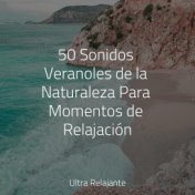 50 Sonidos Veranoles de la Naturaleza Para Momentos de Relajación