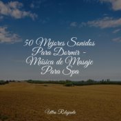 50 Mejores Sonidos Para Dormir - Música de Masaje Para Spa