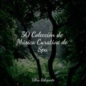 50 Colección de Música Curativa de Spa