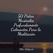 50 Pistas Musicales Profundamente Calmantes Para la Meditación