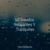 50 Sonidos Relajantes Y Tranquilos