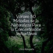 Verano 50 Melodías de la Naturaleza Para la Concentración Instantánea