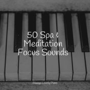 50 Spa & Meditation Focus Sounds