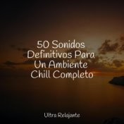 50 Sonidos Definitivos Para Un Ambiente Chill Completo