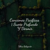 Canciones Pacíficas | Sueño Profundo Y Dormir