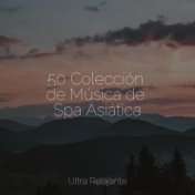 50 Colección de Música de Spa Asiática