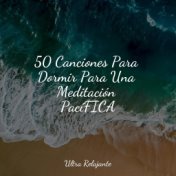 50 Canciones Para Dormir Para Una Meditación PacíFICA