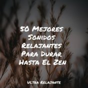 50 Mejores Sonidos Relajantes Para Durar Hasta El Zen