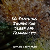 50 Soothing Sounds for Sleep and Tranquility