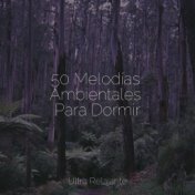 50 Melodías Ambientales Para Dormir