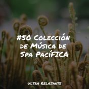 #50 Colección de Música de Spa PacíFICA