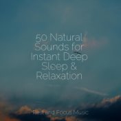 50 Natural Sounds for Instant Deep Sleep & Relaxation