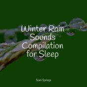 Winter Rain Sounds Compilation for Sleep