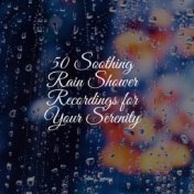 50 Soothing Rain Shower Recordings for Your Serenity
