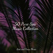 50 Pure Spa Music Collection