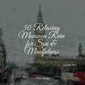 50 Relaxing Monsoon Rain for Spa & Mindfulness
