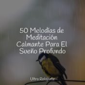 50 Melodías de Meditación Calmante Para El Sueño Profundo