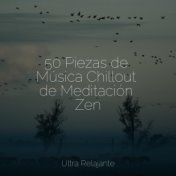 50 Piezas de Música Chillout de Meditación Zen