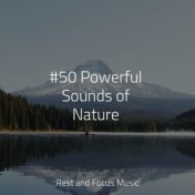 #50 Powerful Sounds of Nature