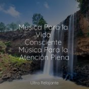 Música Para la Vida Consciente Música Para la Atención Plena