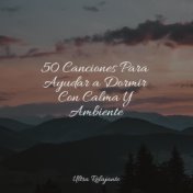 50 Canciones Para Ayudar a Dormir Con Calma Y Ambiente