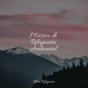 Música de Relajación Ambiental