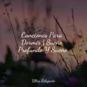 Canciones Para Dormir | Sueño Profundo Y Sueño