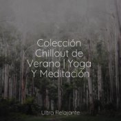 Colección Chillout de Verano | Yoga Y Meditación