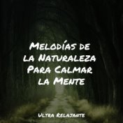 Melodías de la Naturaleza Para Calmar la Mente