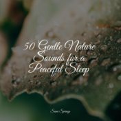 50 Gentle Nature Sounds for a Peaceful Sleep