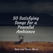 50 Satisfying Songs for a Peaceful Ambience