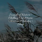 Sounds of Nature | Chilling Out Music | Nature Melodies | Sleep