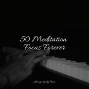 50 Meditation Focus Forever