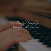 50 Peaceful Sounds for Spa and Meditation