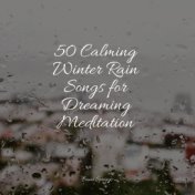 50 Calming Winter Rain Songs for Dreaming Meditation