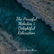 The Peaceful Melodies | Delightful Relaxation